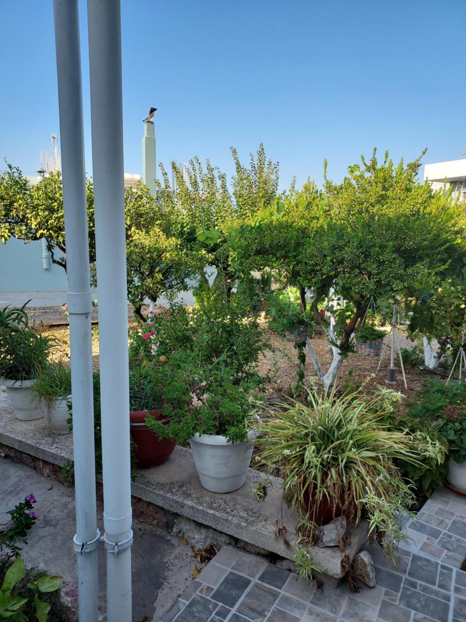 Anastasia'S Garden House Ialysos  Exterior foto